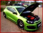 rocco113.jpg
