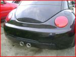 beetle2.jpg