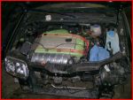 07polo1.jpg