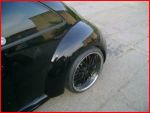 beetle3.jpg