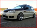 07polo5.jpg